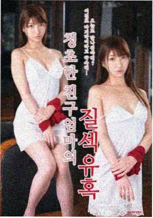 主演阵容与角色关系卡片